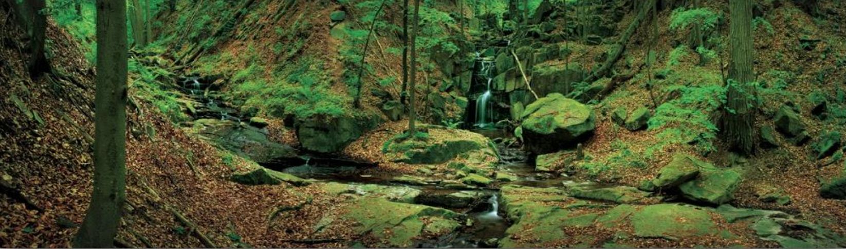 Soutok Kotlíku a Cihelny 2013